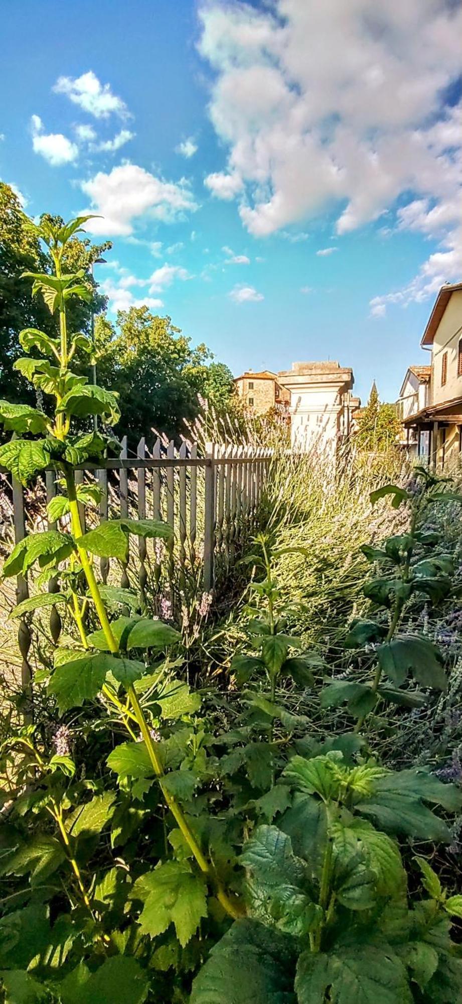 Villa Elvira Ambra Exterior photo
